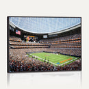 Chicago Bears Soldiers Field Wall Art Canvas Print – Framed