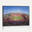 William Brice Stadium Wall Art Canvas Print – Stadium Crowd