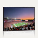 Dooley Stadium Wall Art, Sports Arena Canvas Print, Dooley