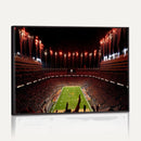 Tennessee Neyland Stadium Wall Art, Sports Arena Canvas