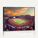 Dooley Stadium Wall Art, Sports Arena Canvas Print, Dooley