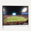 Dooley Stadium Wall Art, Sports Arena Panoramic Canvas
