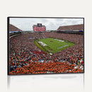 Jordan-Hare Stadium Wall Art Canvas Print, College Sports