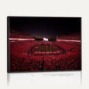 Sanford Stadium Wall Art Canvas Print – Georgia Bulldogs
