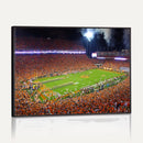 Clemson Football Stadium Wall Art Canvas Print, College