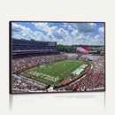 Georgia Bulldogs Stadium Wall Art Canvas Print, Sanford