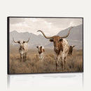 Rustic Texas Longhorn Cow Canvas Wall Art Print, Rustic Farm Animal Photography Print, Farmhouse Country Decor, Western Ranch Art