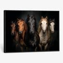 Horse Wall Art Canvas Print, Wild Horses Portrait Photography, Dramatic Equestrian Decor, Black Brown White Horse Herd, Rustic Ranch Art by MyGreatCanvas | Canvas Wall Art Prints | Photo Prints & Wall Decor