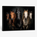 Horse Wall Art Canvas Print, Wild Horses Portrait Photography, Dramatic Equestrian Decor, Black Brown White Horse Herd, Rustic Ranch Art