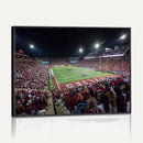 Mississippi State Bulldogs Stadium Wall Art Canvas Print –