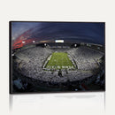 Penn State University Nittany Lions Football Team Print -