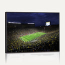 Michigan Wolverines Football Canvas Wall Decor, Football