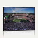South Carolina Gamecocks Football Team Print - Columbia