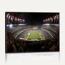 Eagles Field Stadium Wall Art - Philadelphia Eagles Football