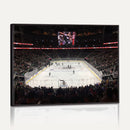 T Mobile Arena Paradise Nevada Vegas Golden Knights Ice