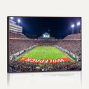 NC State Wolfpack Canvas Print - Raleigh Carter-Finley