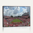 NC State Wolfpack Football Team Print Canvas- Raleigh