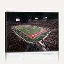 Houston Cougars Football Team Print - Houston TDECU Stadium