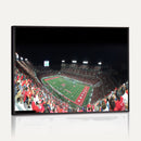 Houston Cougars Football Team Print - Houston TDECU Stadium