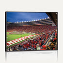 Wisconsin Badgers Football Team Print - Madison Camp Randall