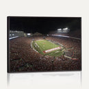 Wisconsin Badgers Football Team Print - Madison Camp Randall