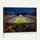 Pittsburgh Panthers Football Team Print - Pittsburgh