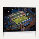 University of North Texas Mean Green Football Artwork,