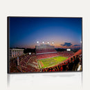 Wolfpack Football Team Wall Art Print - Raleigh