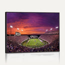 East Carolina University Pirates Football Print Canvas-