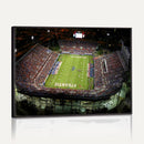 Florida Atlantic University Owls Football Team Print - Boca