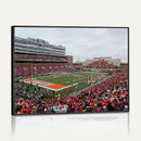 University of Illinois Fighting Illini Football Team Print -