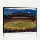 University of Illinois Fighting Illini Football Team Print -