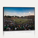 University of Charlotte 49ers Football Team Print -
