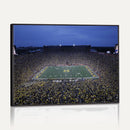 University of Michigan Wolverines Football Team Print - Ann