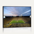 University of Michigan Wolverines Football Team Print - Ann