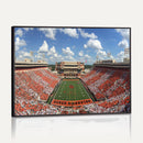 Oklahoma State Cowboys Football Team Print - Stillwater
