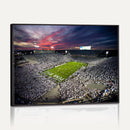 Penn State Nittany Lions Football Team Print - University