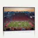 Arizona Wildcats Football Team Print - Tucson Arizona