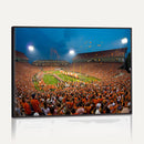 Clemson University Tigers Football Team Print - Clemson