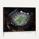 Michigan State Spartans Football Team Print - East Lansing