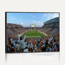 Michigan State Spartans Football Team Art Print - East