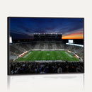 Michigan State Spartans Football Team Print - East Lansing