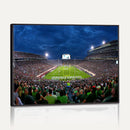 Michigan State Spartans Football Team Print - East Lansing