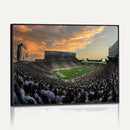Michigan State Spartans Football Team Print - East Lansing