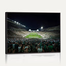 Framed Michigan State Spartans Football Team Print - East