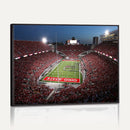 Ohio State University Buckeyes Football Team Print -