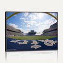 Rice University Owls Football Team Print - Houston Rice