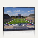 Rice University Owls Football Team Print - Houston Rice