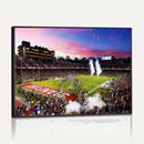 Stanford University Cardinal Football Team Print - Stanford