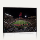 Framed Texas Tech Red Raiders Stadium Canvas, Texas Tech Red